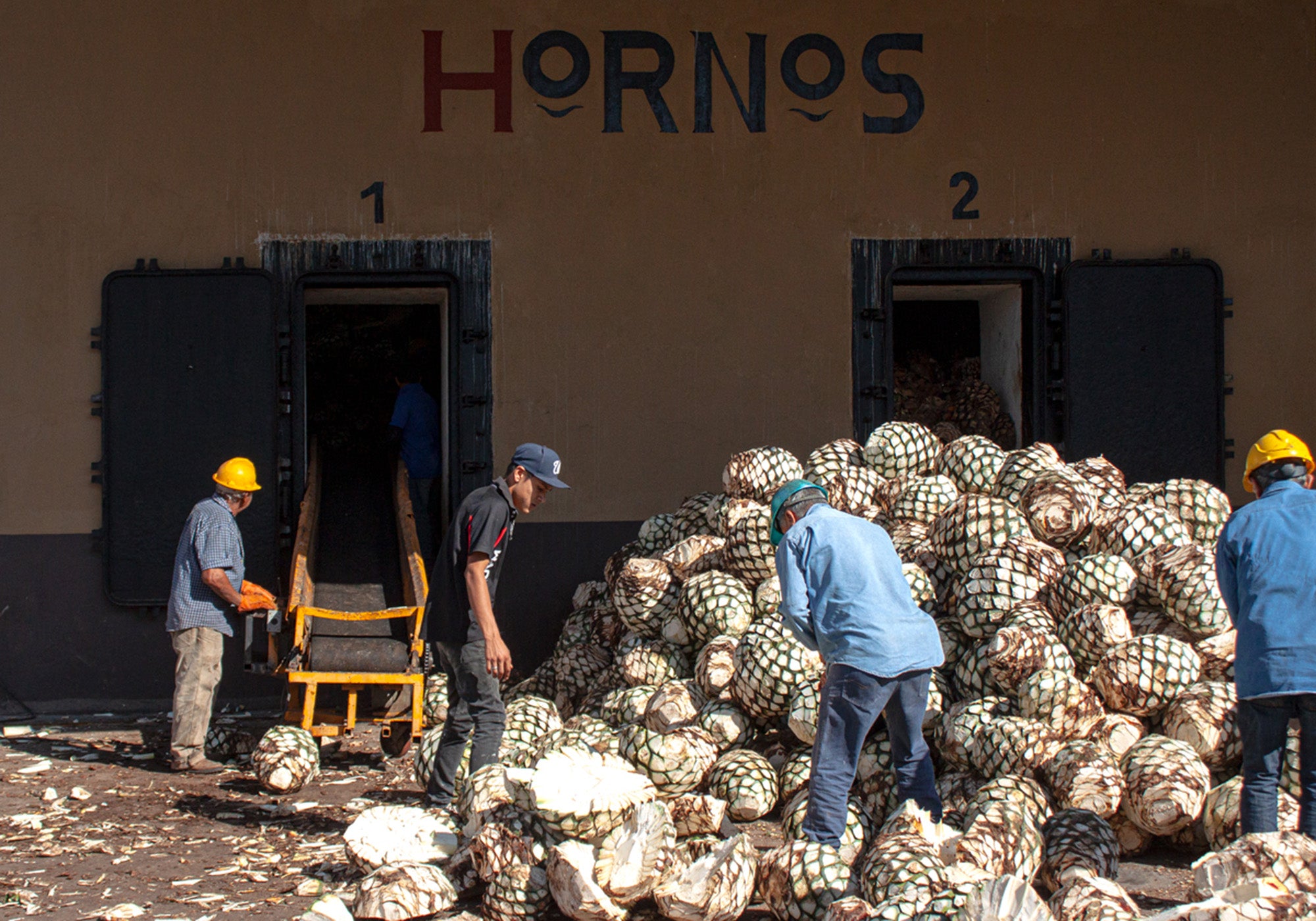 Workers at Casa Maestri Distillery load Agave piñas into hornos, traditional ovens to cook the Agave.